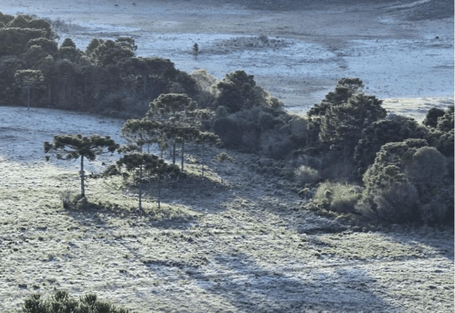 Imagem da noticia Geada atinge Serra Catarinense e preocupa produtores rurais