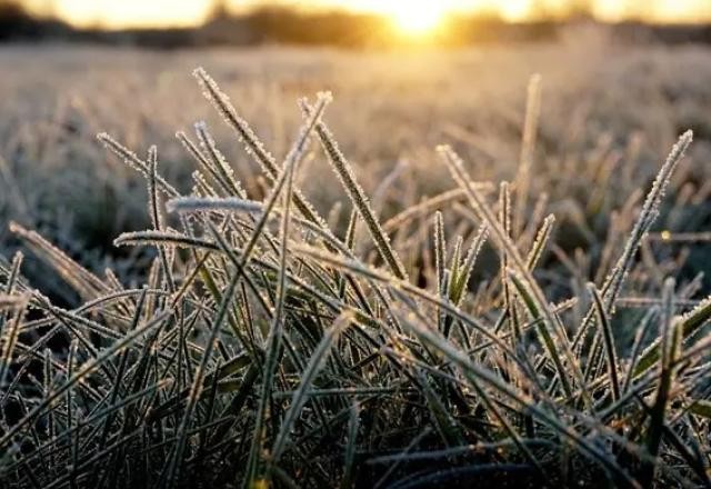 Imagem da noticia Inverno começa nesta 3ª; ao menos quatro ondas de frio são esperadas