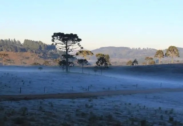 Massa de ar polar avança pelo país com previsão de neve e chuva congelada em alguns estados