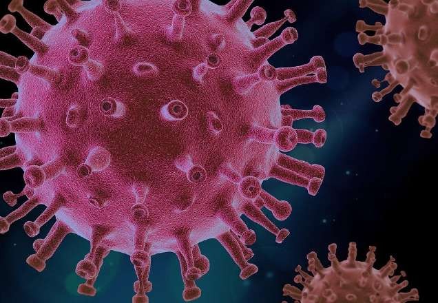 Imagem da noticia Gene eficaz contra a Covid-19 é encontrado e pode acelerar vacina