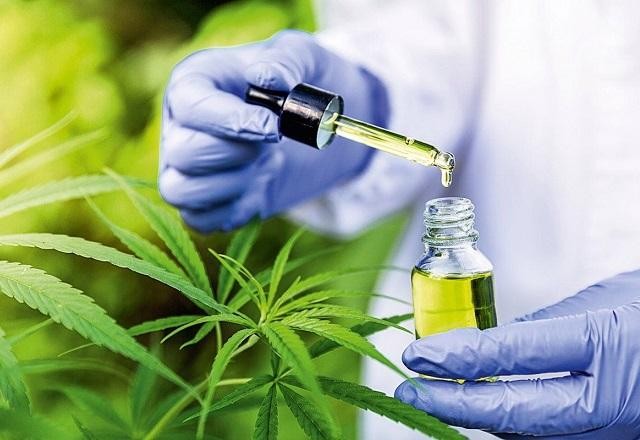 Imagem da noticia Anvisa aprova outro produto medicinal à base de Cannabis