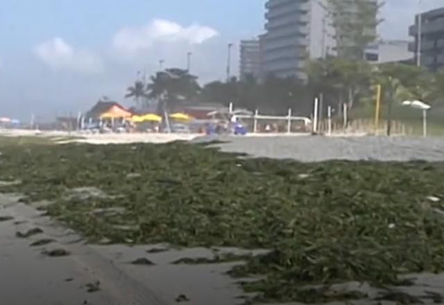 Retirada de gigogas continua em praia na Barra da Tijuca (RJ)