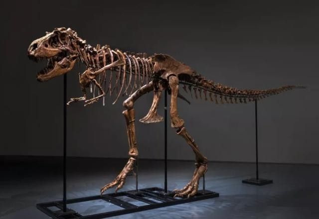 Imagem da noticia Esqueleto de dinossauro é vendido por R$ 31 milhões em leilão