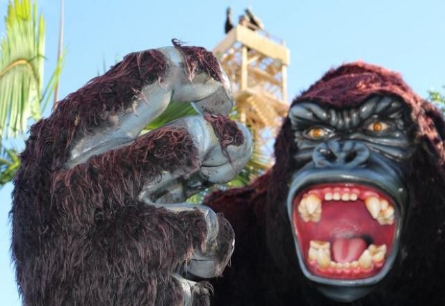 Imagem da noticia Criança fica gravemente ferida após cair de atração no Beto Carrero World
