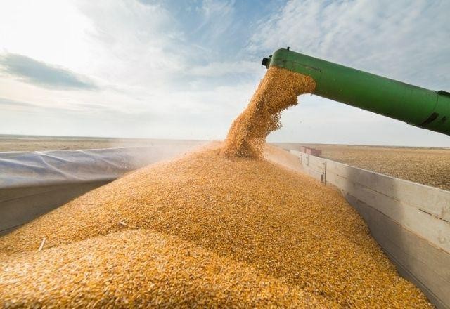 Produção agrícola para 2022 tem cenário positivo, aponta Ipea