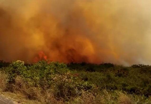 Imagem da noticia Governo declara situação de emergência no Mato Grosso do Sul