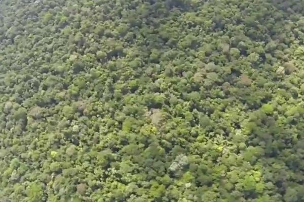 Governo defende novo decreto sobre reserva ambiental na Amazônia