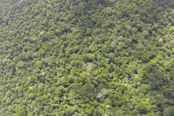 Imagem da noticia Governo defende novo decreto sobre reserva ambiental na Amazônia