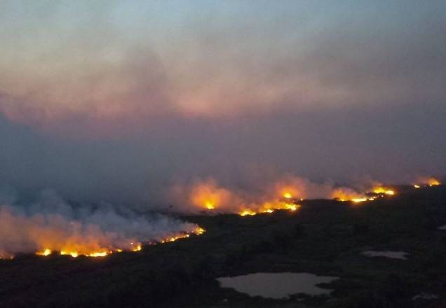 Imagem da noticia Focos de incêndio no Pantanal aumentam 408% em outubro