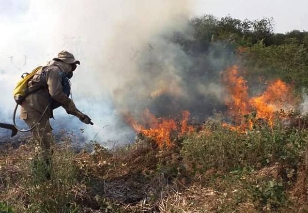 Imagem da noticia Governo libera R$ 4 milhões para combater fogo no Pantanal