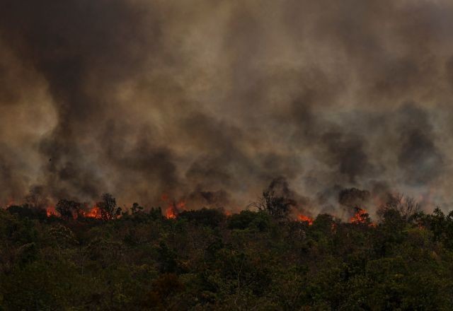 'Estamos muito atrasados no combate às mudanças climáticas', alerta presidente do CNPq