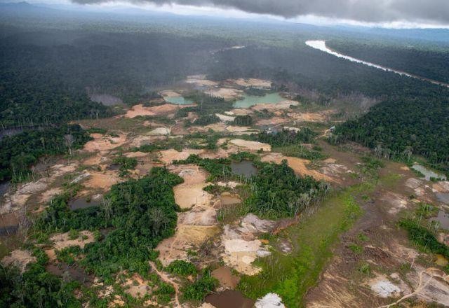 Imagem da noticia Desmatamento na Amazônia cresce 54% e atinge pior abril em 15 anos
