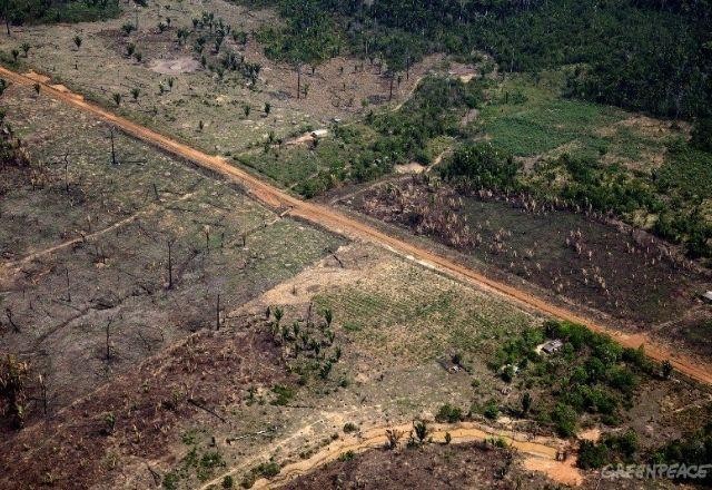 Imagem da noticia ONU lança alerta sobre clima e pede fim do desmatamento na Amazônia