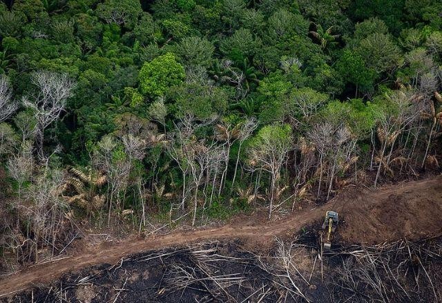 Imagem da noticia Roraima lidera lista de terras indígenas pressionadas pelo desmatamento