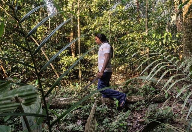 Imagem da noticia Projeto do mercado de carbono vai ter garantia de recursos para indígenas e quilombolas