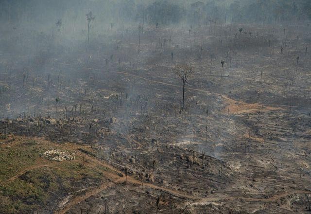 Imagem da noticia Caso siga ritmo atual, desmatamento na Amazônia pode passar 11 mil km² em 2023