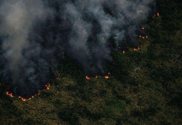 Imagem da noticia Focos de calor na Amazônia aumentaram 7,9% em um ano, aponta Inpe