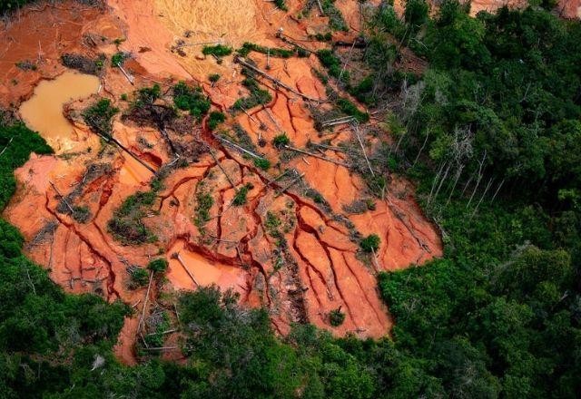 Imagem da noticia Desmatamento: terras indígenas do Pará estão entre as mais ameaçadas
