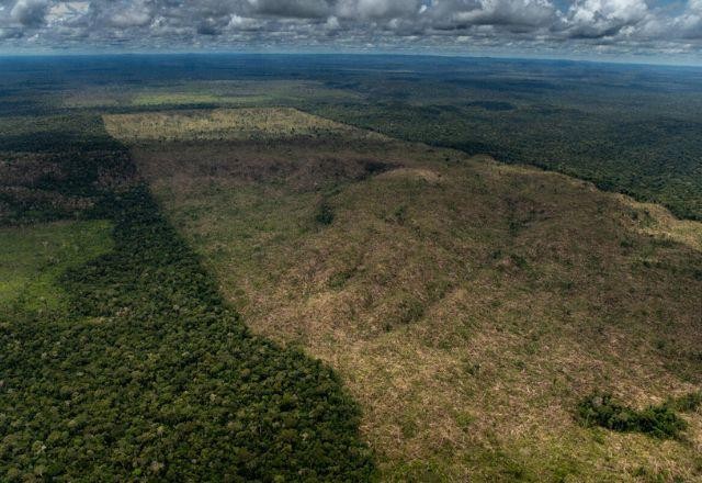 Amazônia: alerta de desmate em julho atinge 1.487 km² e empata com 2021