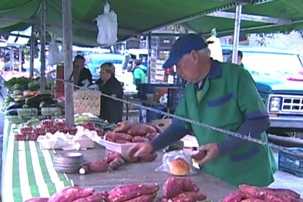 Imagem da noticia Greve atinge abastecimento de feiras, padarias e restaurantes