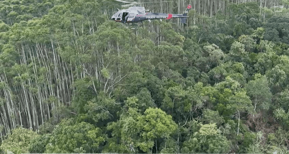 Imagem da noticia Poder Expresso: Força-tarefa atua para resgatar vítimas e destroços de helicóptero que caiu em SP