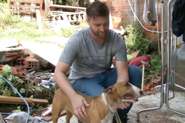 Imagem da noticia Homem enfrenta enxurrada para resgatar cadela levada pela água