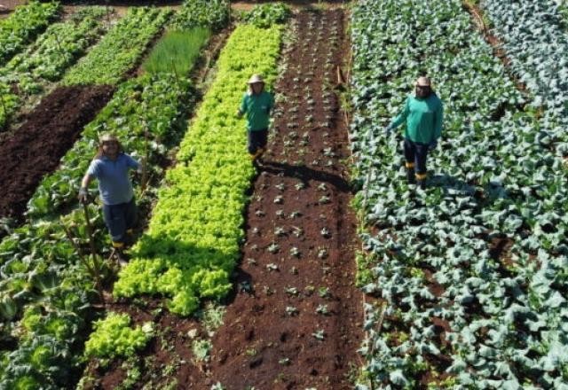 Imagem da noticia Brasil terá programa de incentivo à produção de alimentos saudáveis