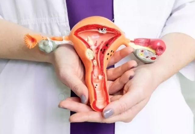 Imagem da noticia Número de laqueaduras feitas pelo SUS subiu quase 68% em seis anos