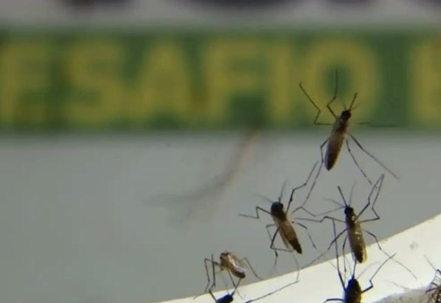 Imagem da noticia Dengue: Procura por testes rápidos cresceu 700% nos últimos 3 meses