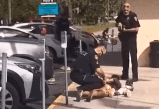 Imagem da noticia Criança de 3 anos é colocada no chão e com mãos para trás durante abordagem policial nos EUA