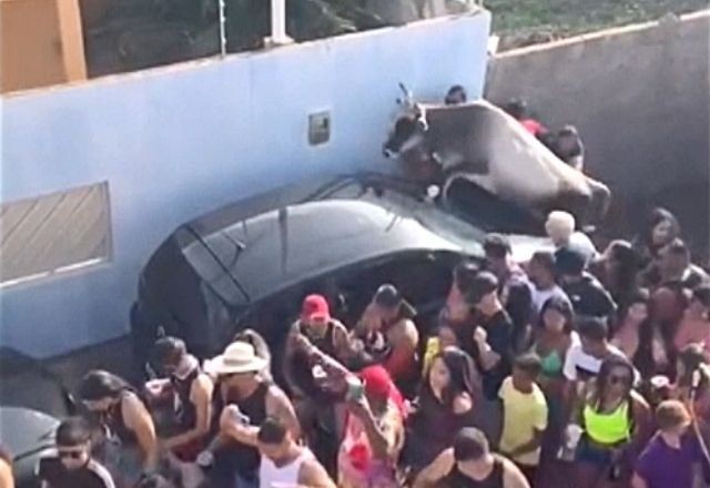 Imagem da noticia Vaca invade bloco de carnaval e deixa 3 feridos no Rio Grande do Norte