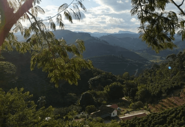 Imagem da noticia Caparaó Mineiro: sustentabilidade e excelência no café especial
