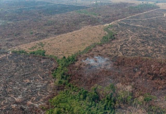 Imagem da noticia Por política ambiental, comitê adia discussão sobre entrada do Brasil na OCDE