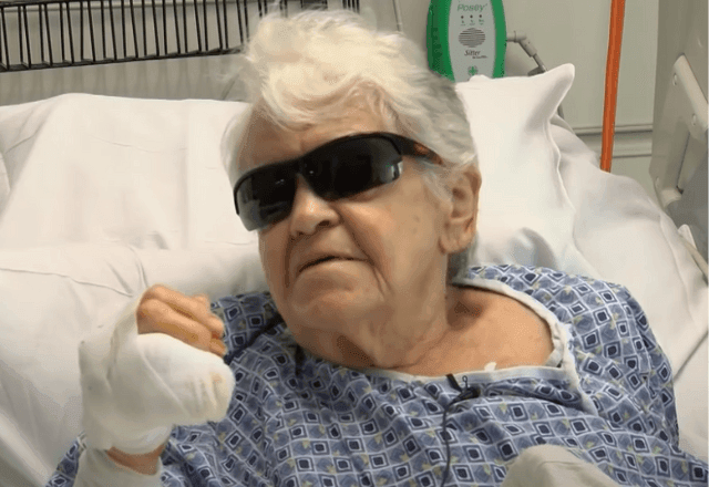 Imagem da noticia Idosa de 84 anos é atacada por jacaré e se salva após socar o animal nos Estados Unidos