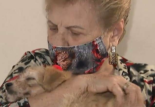 Imagem da noticia Idosa e cadela recém-adotada protagonizam vídeo emocionante