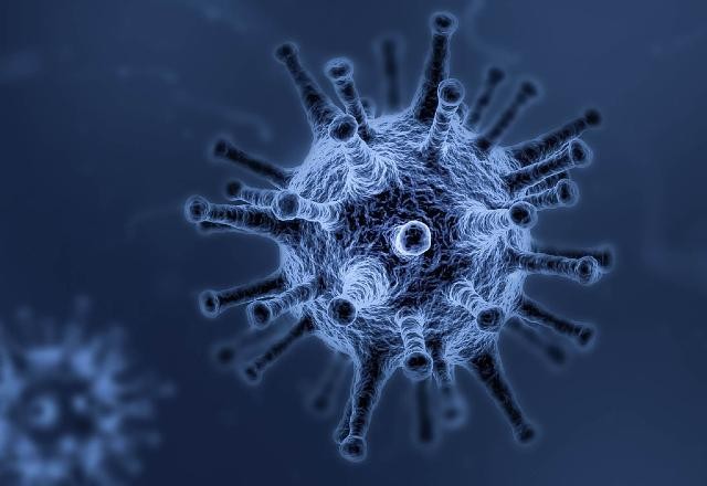Covid-19: OMS vai à China para investigar origem do vírus