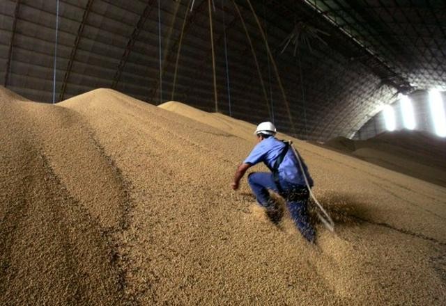 Brasil aumenta produção e deve colher 265,9 milhões de toneladas de grãos