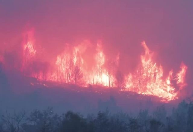Imagem da noticia Incêndio florestal deixa um morto na França; fogo ainda não foi controlado
