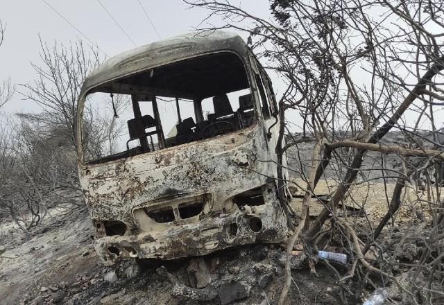 Imagem da noticia Incêndios florestais na Argélia deixam 34 pessoas mortas e 161 feridos