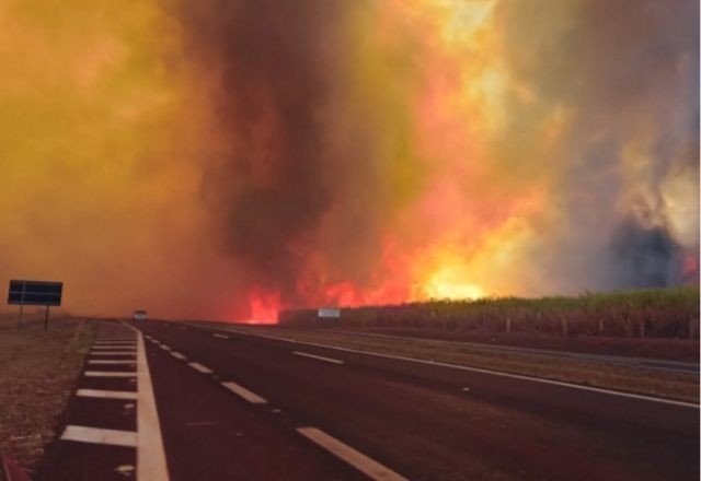 Imagem da noticia Incêndios no interior de SP: sobe para 3 número de presos; veja quem é um dos detidos