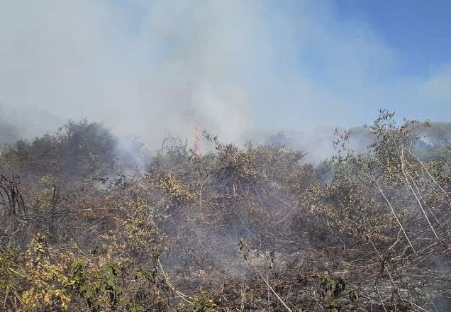 Incêndio que já dura cinco dias destrói mais de 20 mil hectares no Pantanal