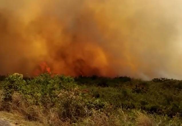 Incêndios no Pantanal já devastaram mais de 2 milhões de hectares