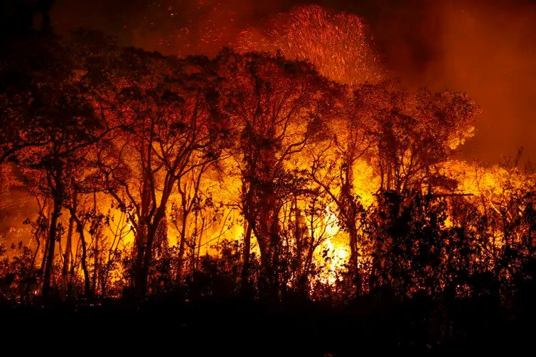 Imagem da noticia Pantanal tem quase 4 mil focos de incêndios no pior mês já registrado em 21 anos