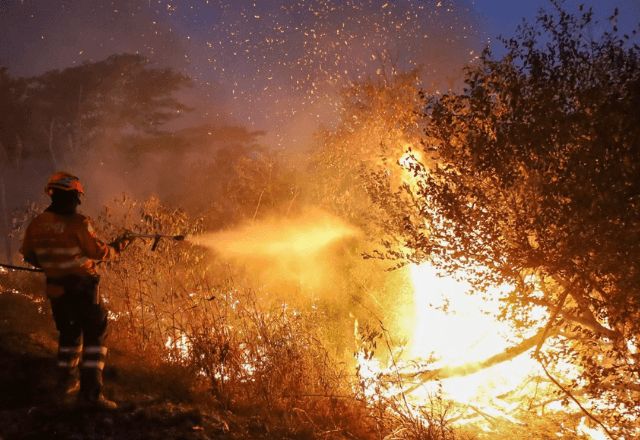 Brasil registrou aumento de 119% de áreas atingidas pelo fogo no primeiro semestre de 2024, diz MapBiomas  