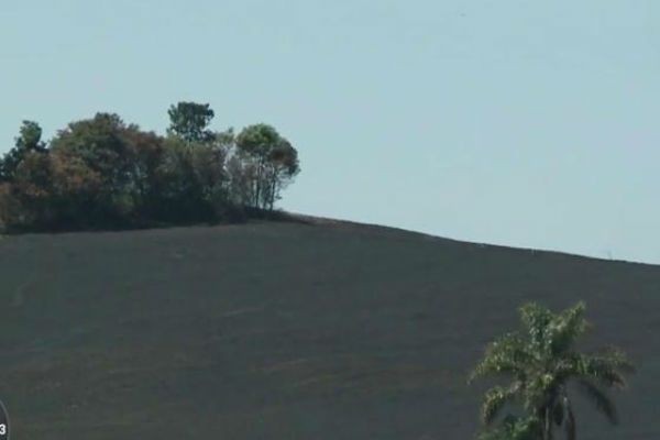 Imagem da noticia Indígenas ateiam fogo em plantações no Rio Grande do Sul 