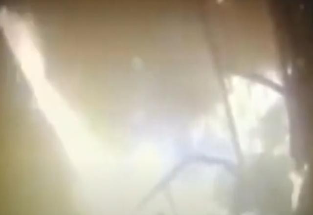 Imagem da noticia SP: criminosos ateiam fogo em motorista de ônibus em Cotia