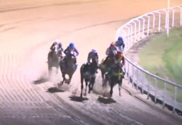 Imagem da noticia Justiça suspende lei que proibia corrida de cavalos no Jockey de São Paulo; entenda