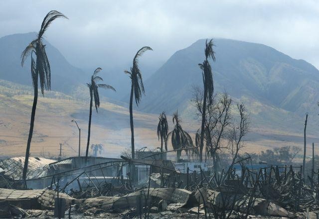 Imagem da noticia Número de mortos em incêndios no Havaí sobe para 106