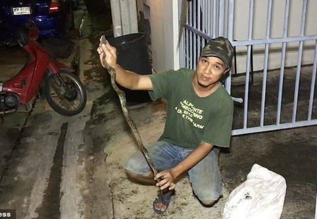 Imagem da noticia Jovem tailandês é mordido nas partes íntimas enquanto usa o banheiro