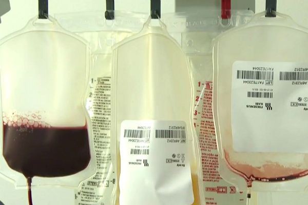 Kit de agradecimento recebido por doador de sangue gera polêmica